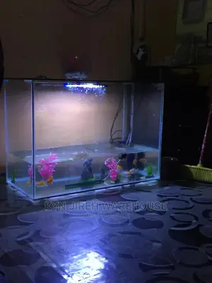 Point and Kill Tank 3ft X 2ft X17”