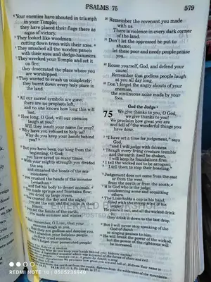 Goodnews Bible