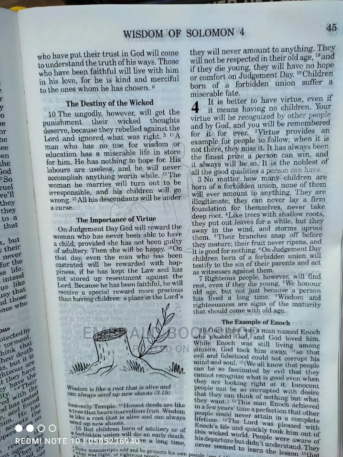 Goodnews Bible