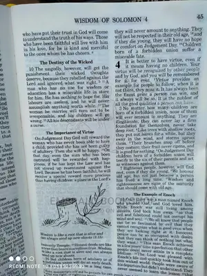 Goodnews Bible