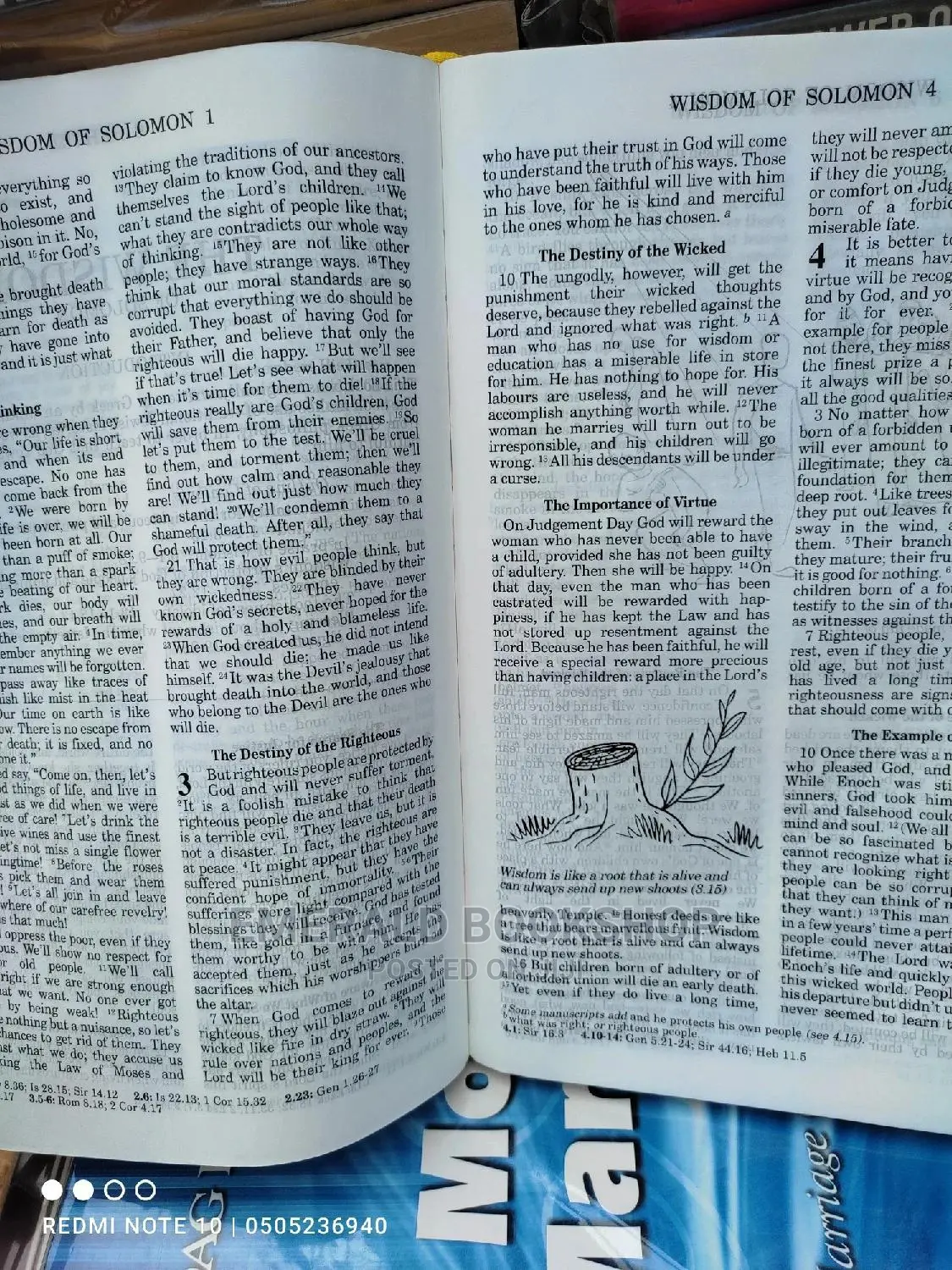 Goodnews Bible