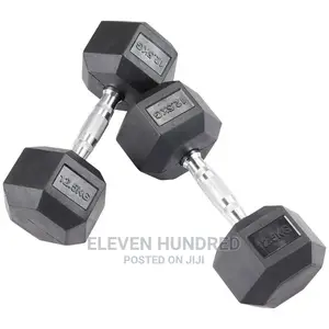 Dumbbells (12.5kg PAIR)