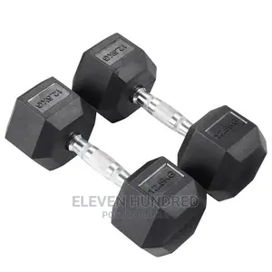 Dumbbells (12.5kg PAIR)