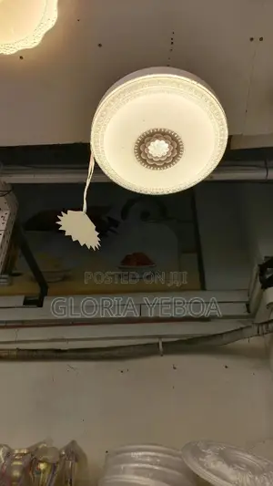 Ceiling LED Light With Fan