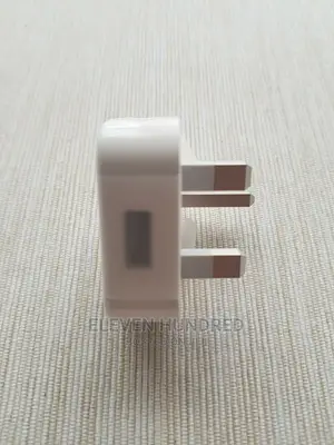 Apple iPhone Charger