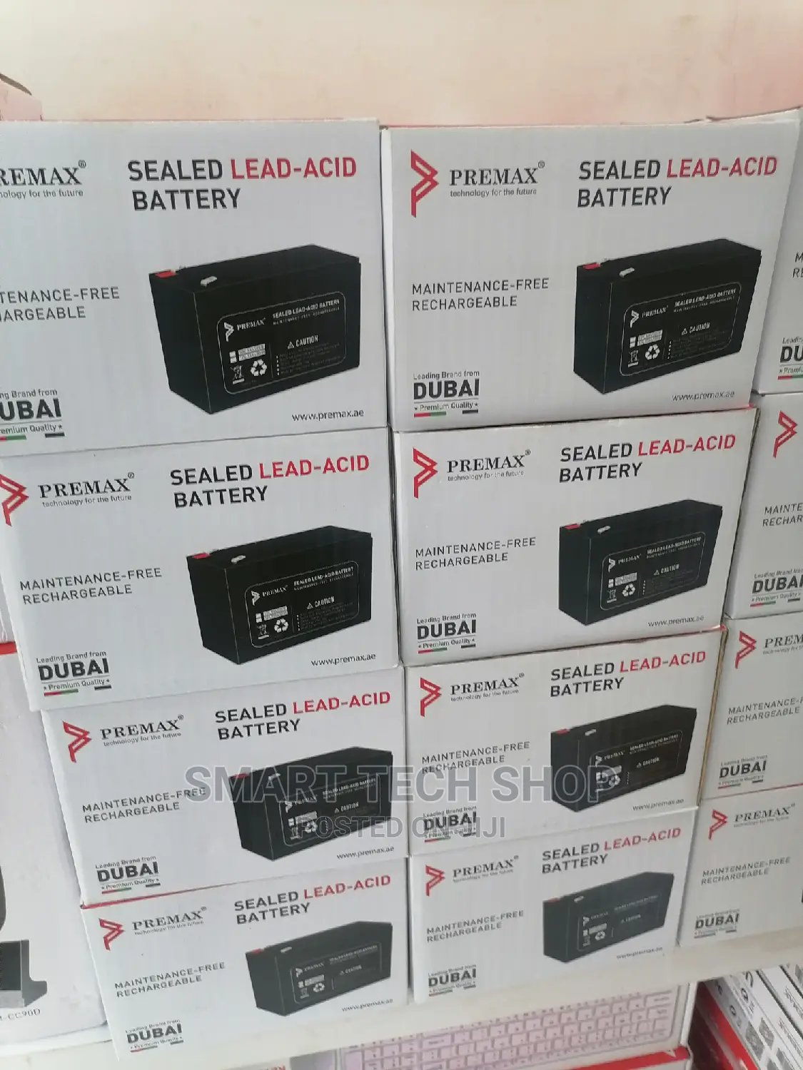 Sealed Lead-Acid Battery 12V 9ah and 12V 7ah for UPS