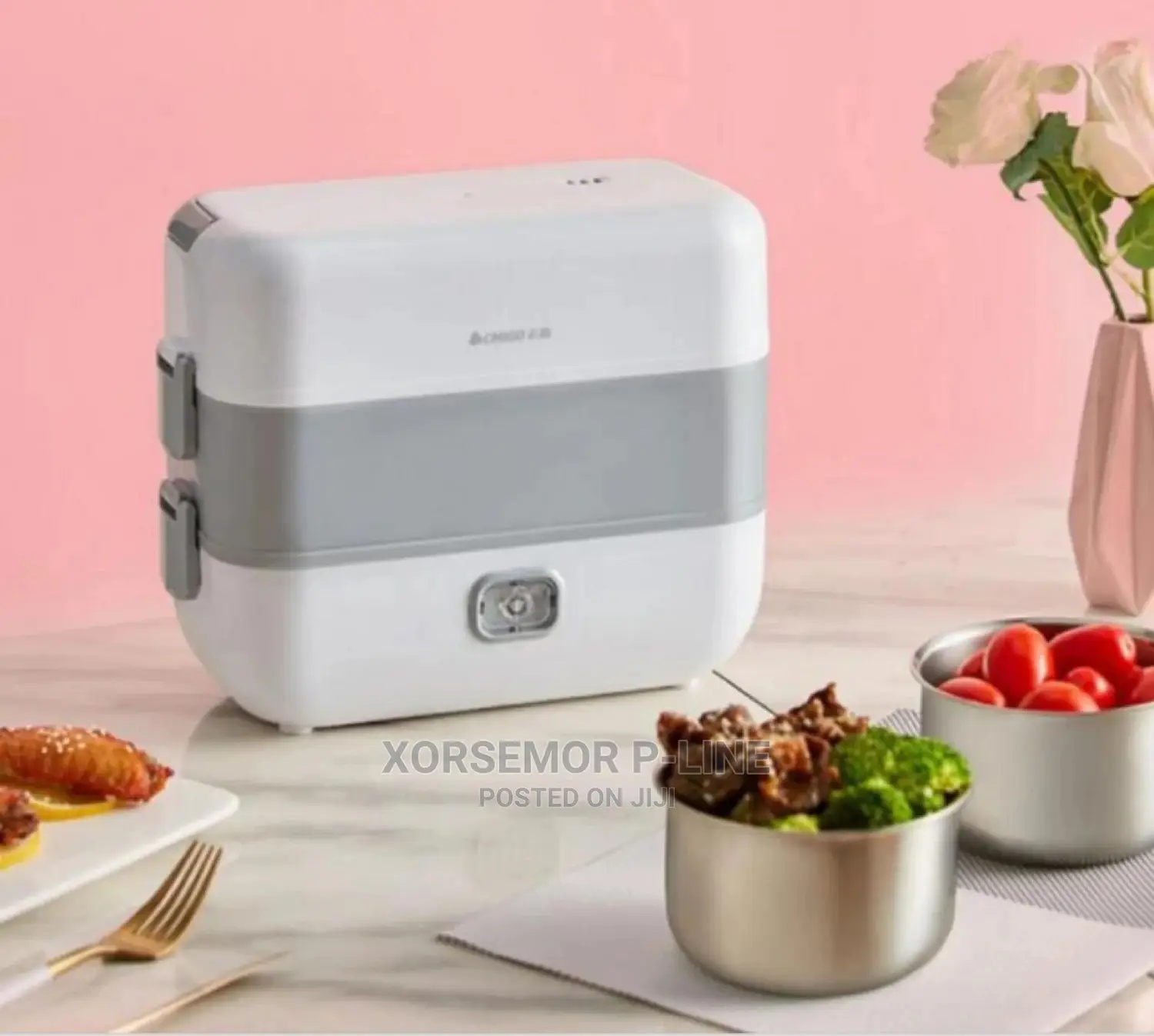 Electric Lunch Box