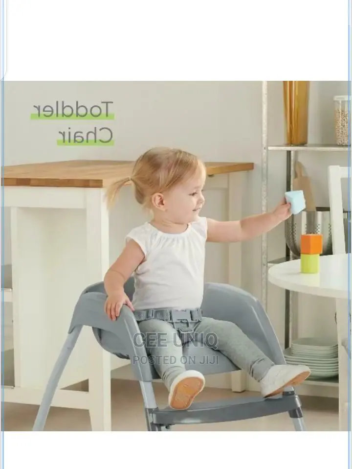 3 in 1 Highchair