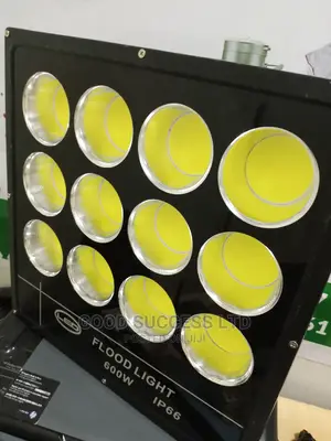 600w Flood Light