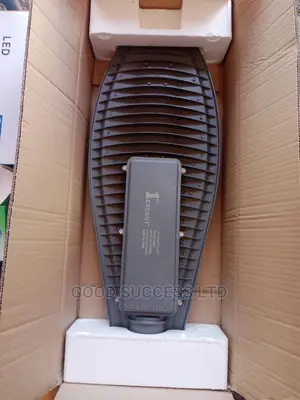 100w Street Light 2eye