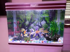 Inported Aquarium