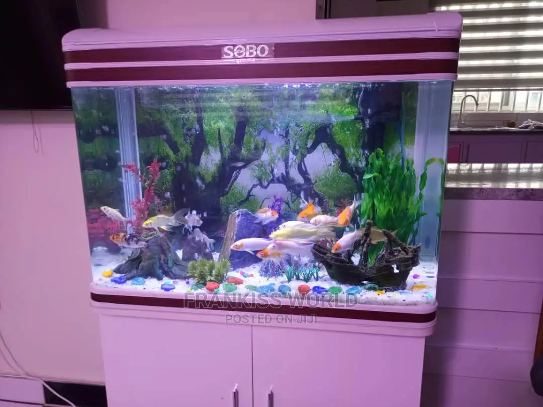 Inported Aquarium