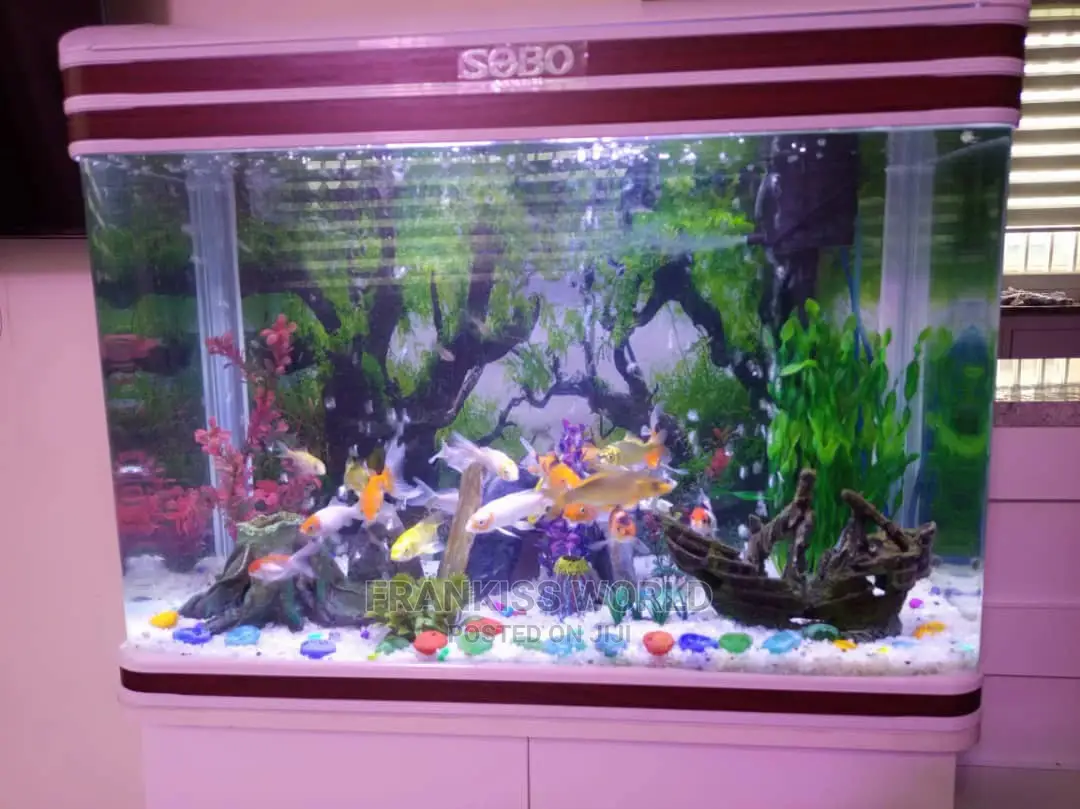 Inported Aquarium