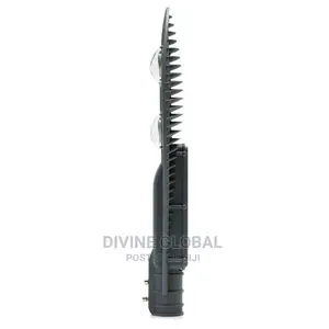 100W 2eye LED Street Light