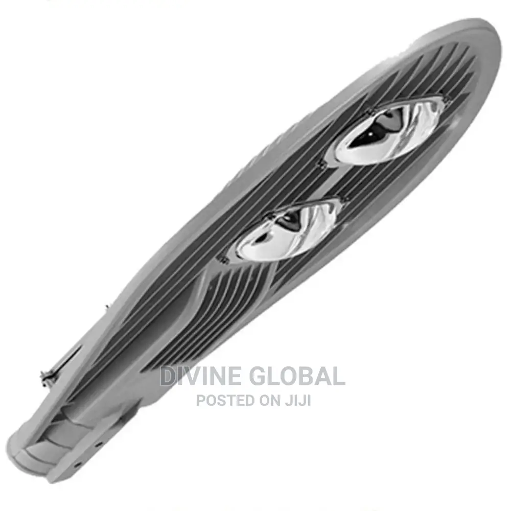 100W 2eye LED Street Light