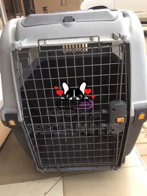 Large Breed Cage for Dogs