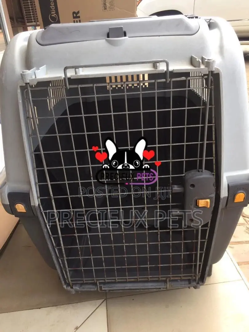 Large Breed Cage for Dogs