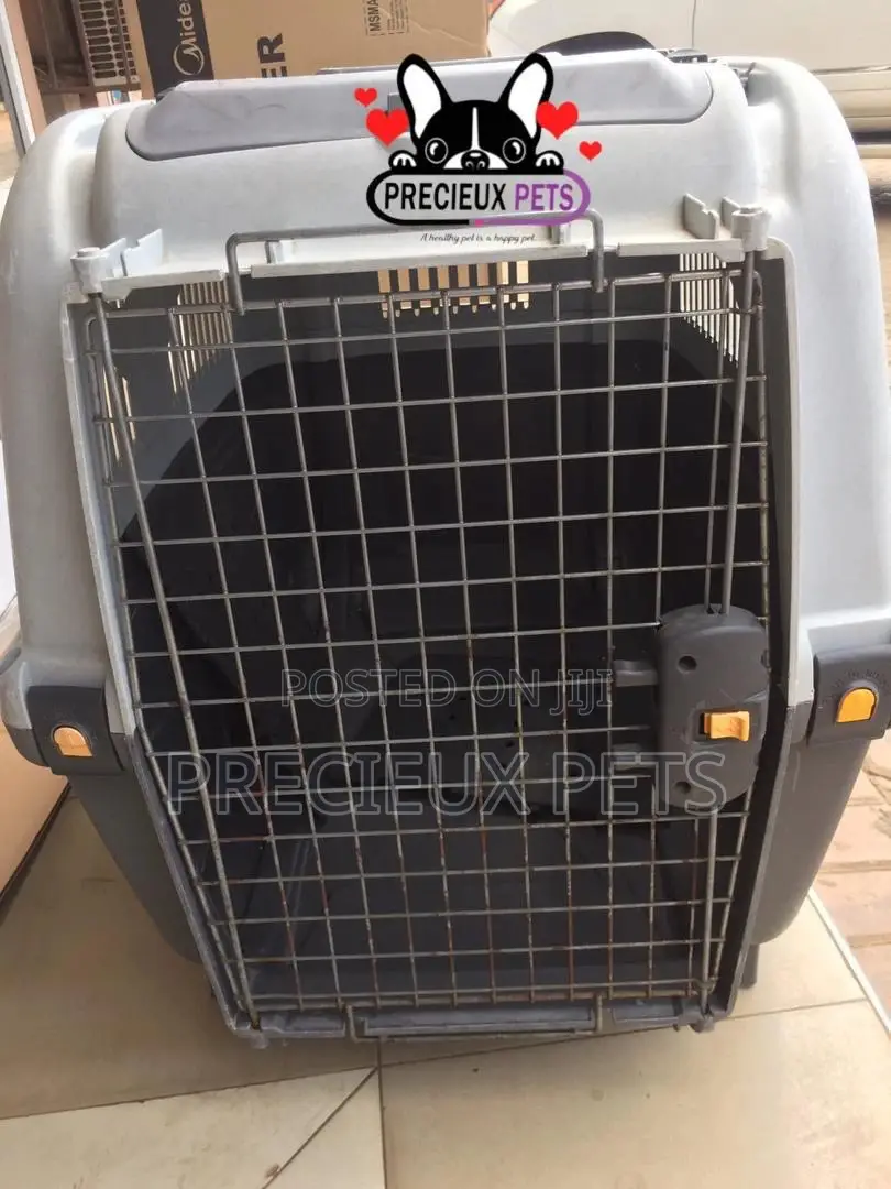 Large Breed Cage for Dogs