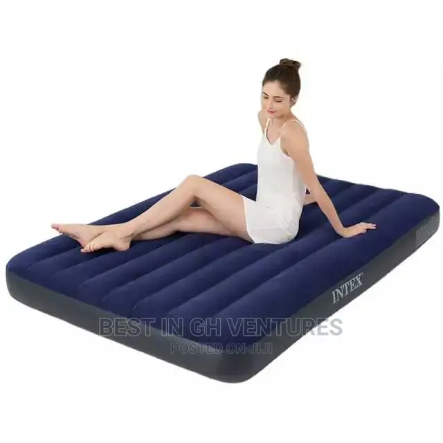 Captivativating Air Mattress +Free Pump