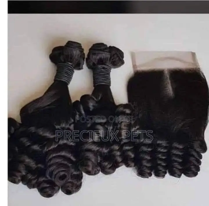 Spring Curls Hair