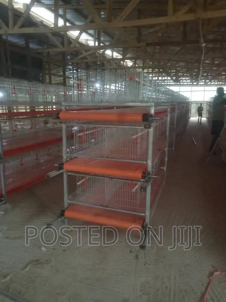 Battery Cage System (Chicken Layers)