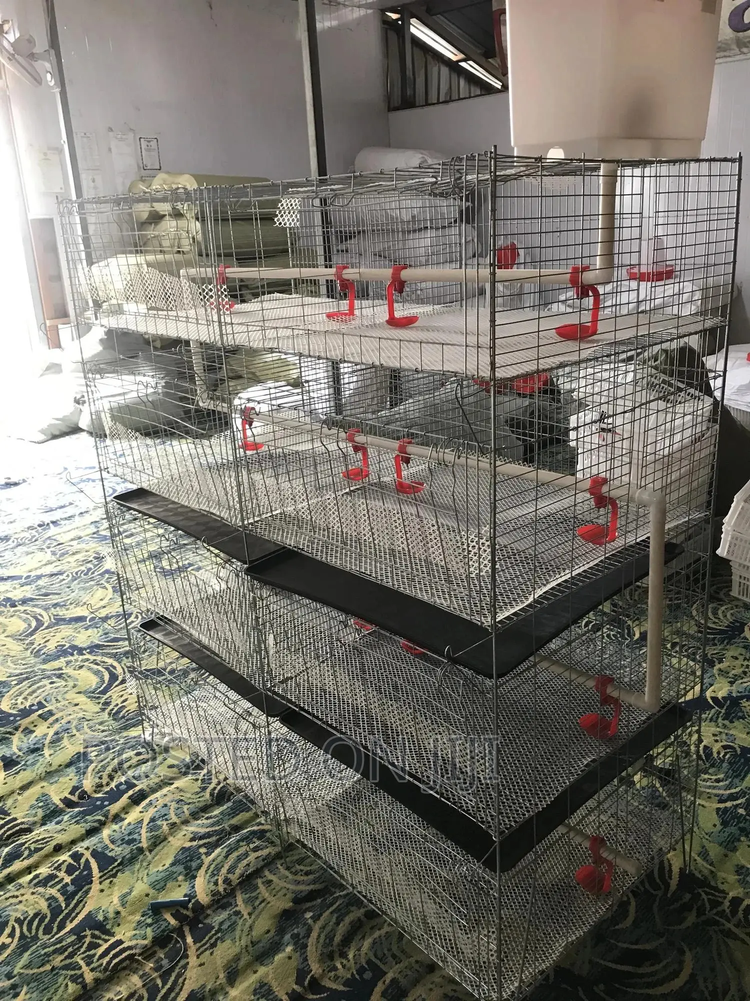 Waste Tray and Cages