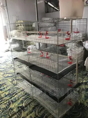 Waste Tray and Cages
