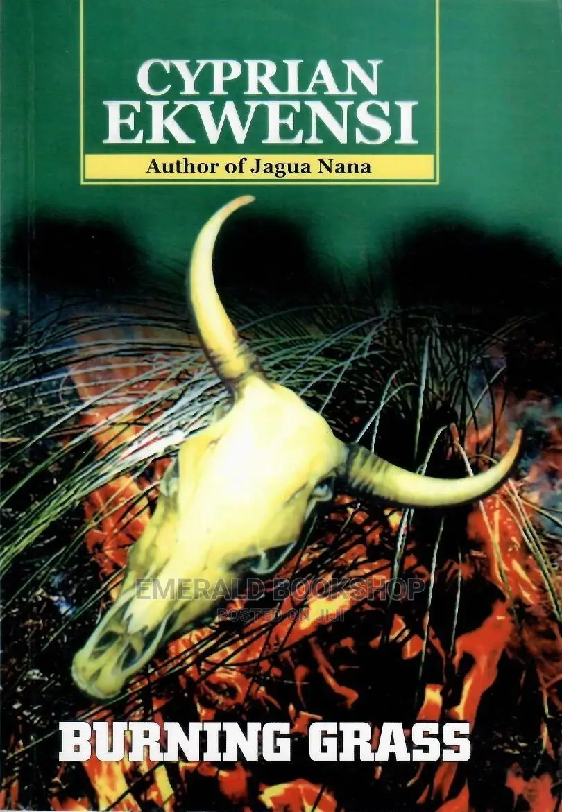 Burning Grass