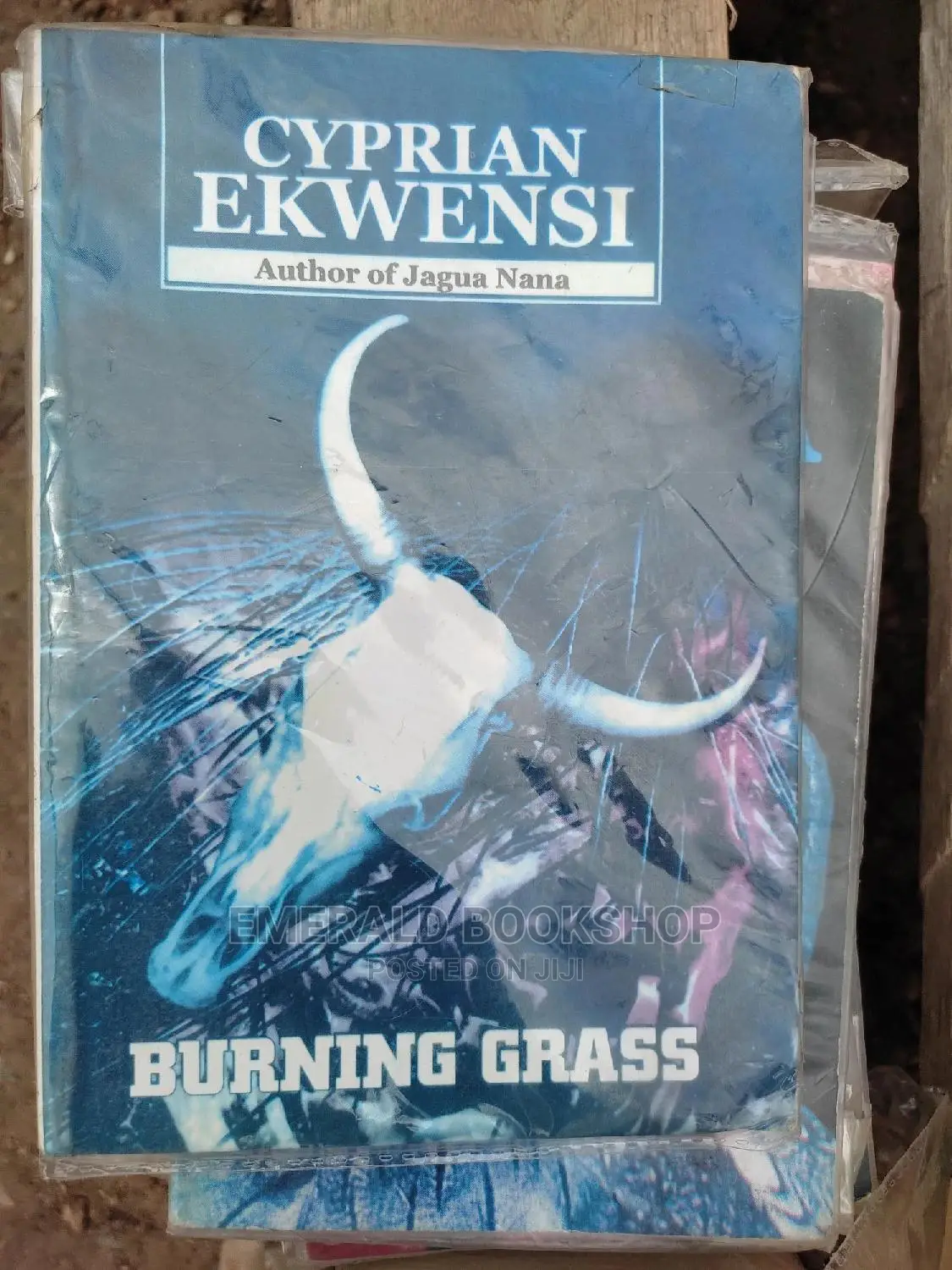 Burning Grass