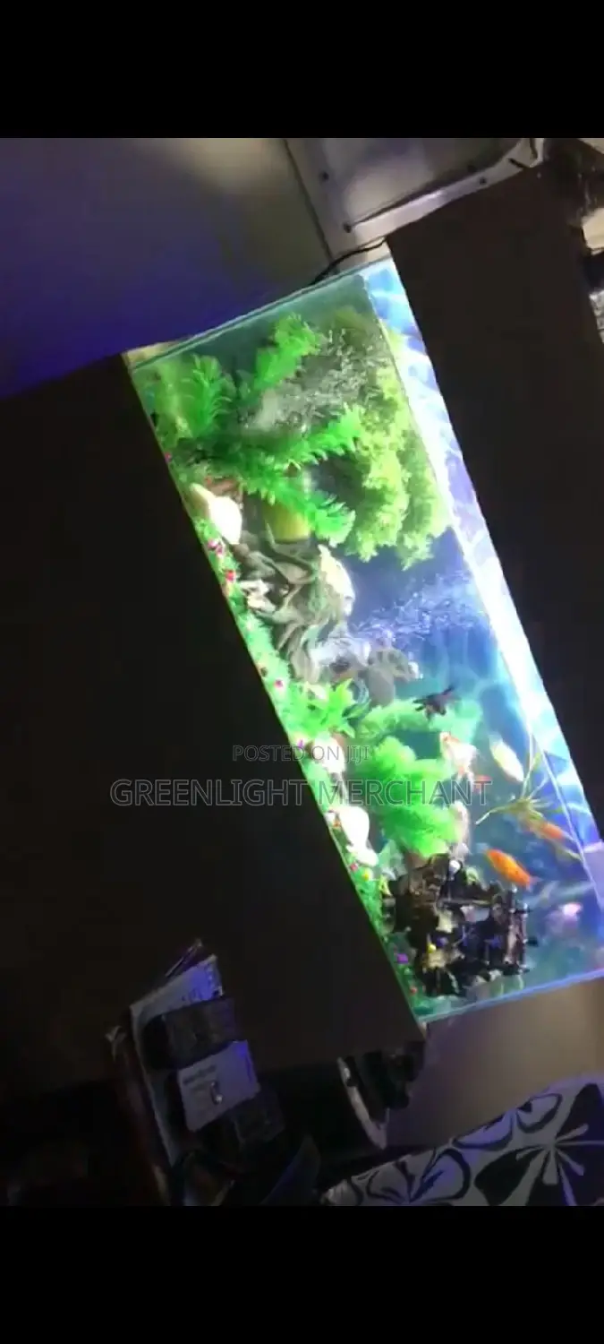 Aquarium and Accessories