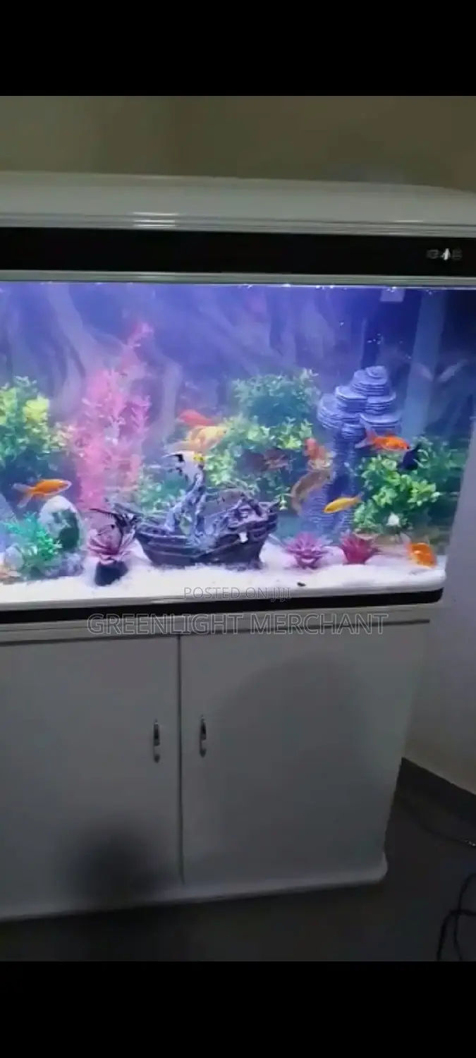 Aquarium and Accessories