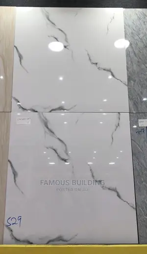 Floor Tiles (60/60 )