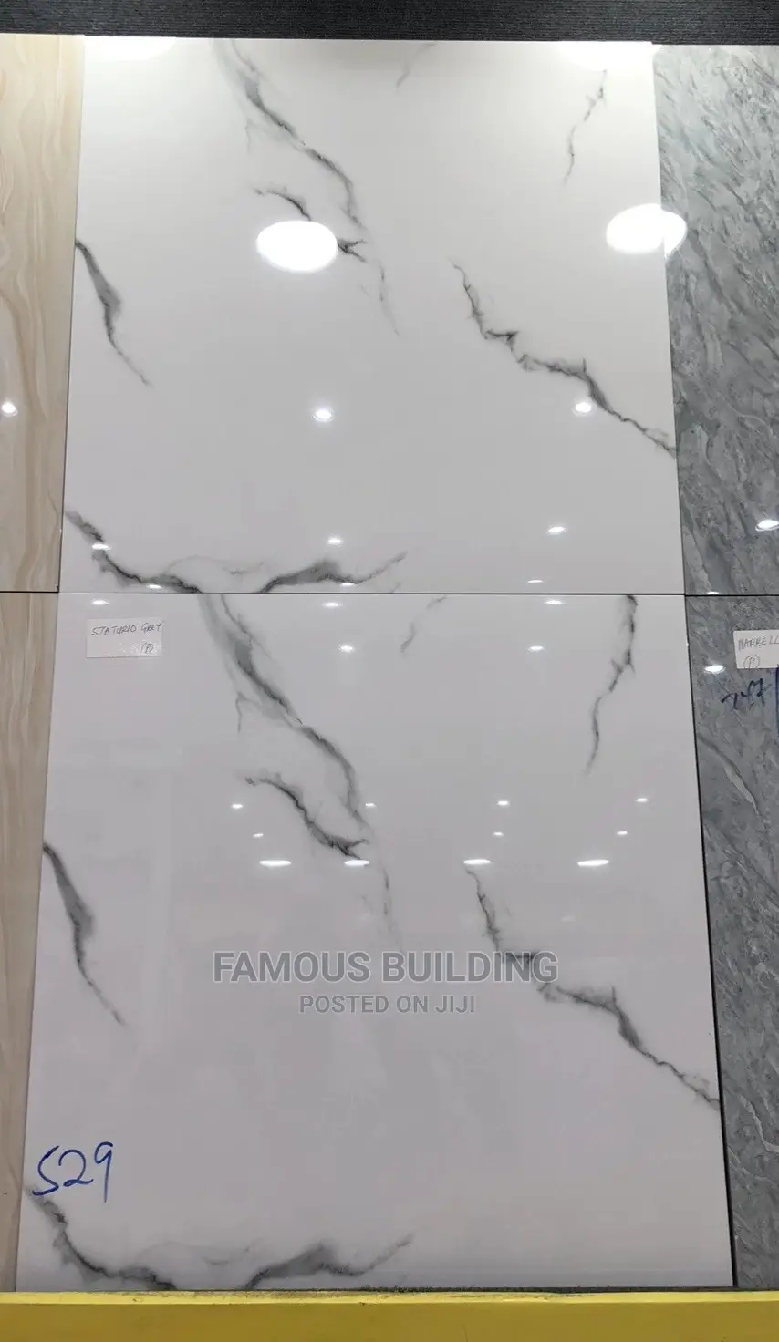 Floor Tiles (60/60 )