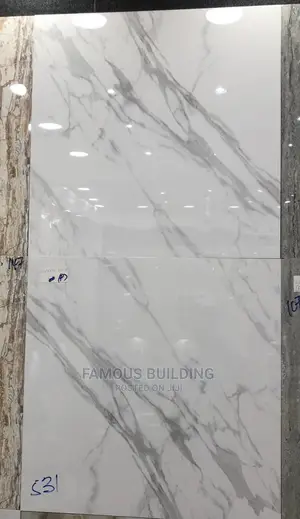 Floor Tiles (60/60 )