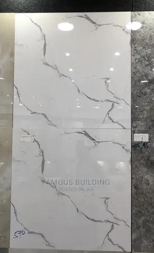 Floor Tiles (60/60 )