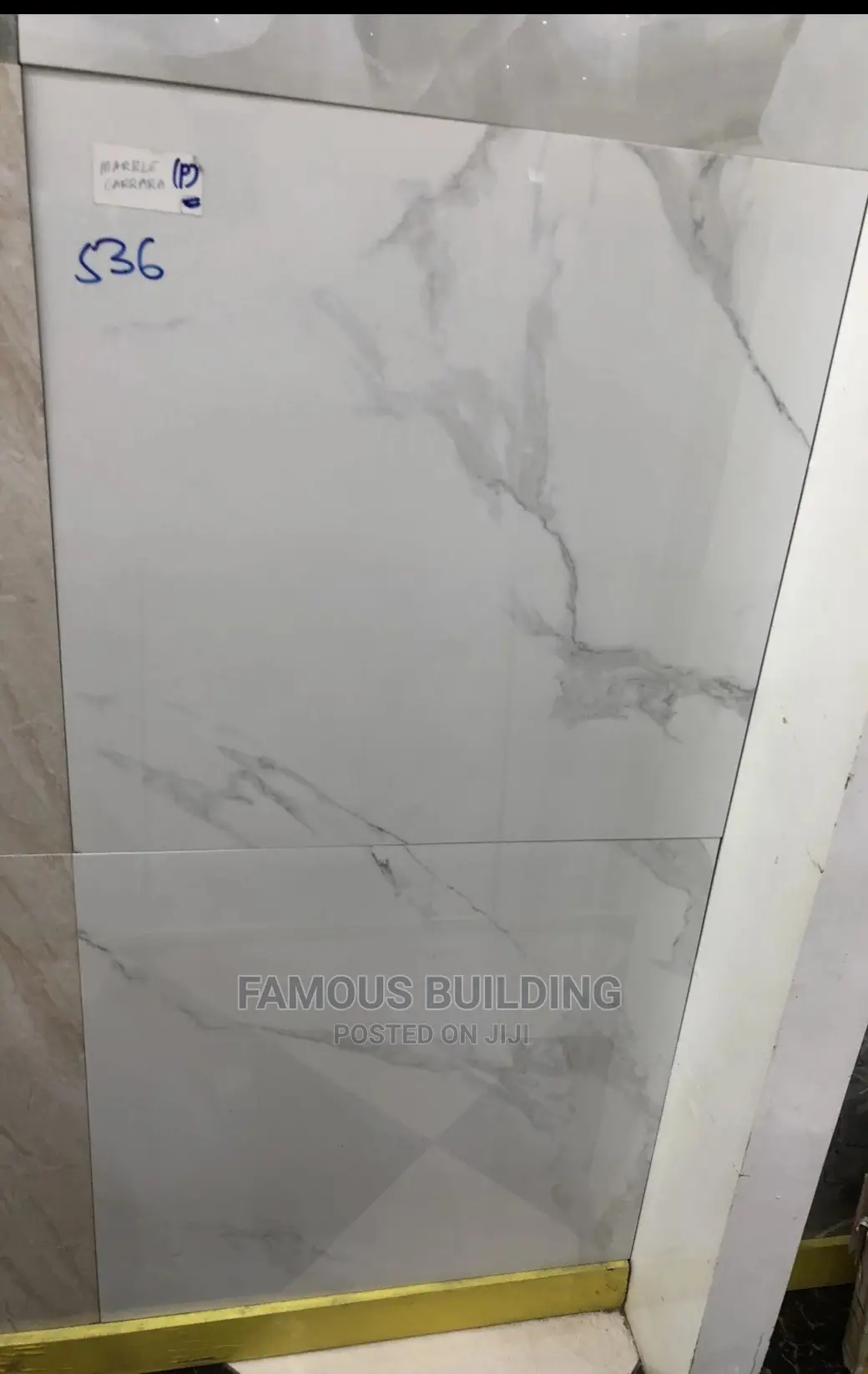 Floor Tiles (60/60 )
