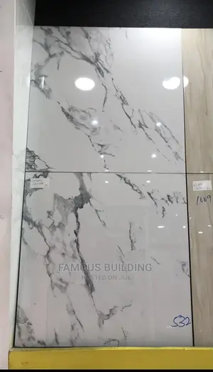 Floor Tiles (60/60 )
