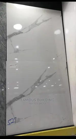 Floor Tiles (60/60 )