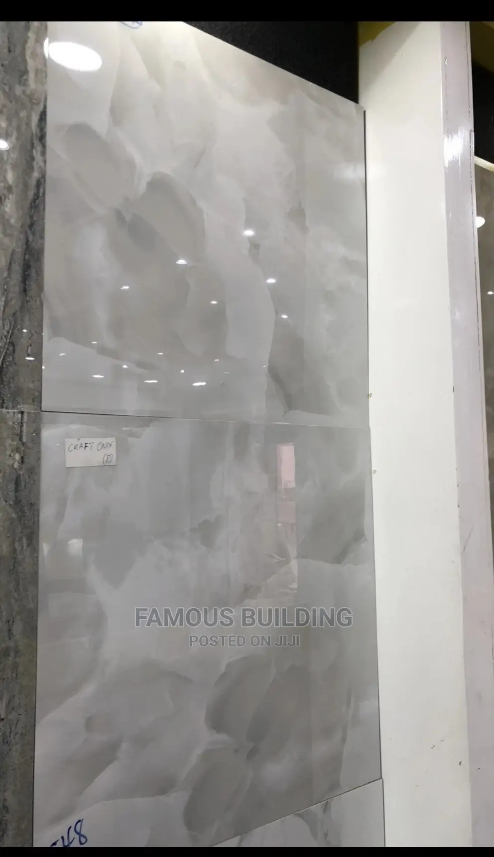 Floor Tiles (60/60 )
