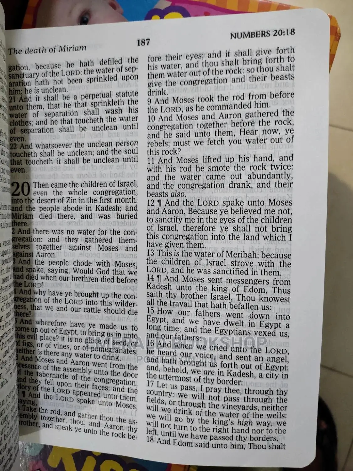 The Holy Bible KJV Giant
