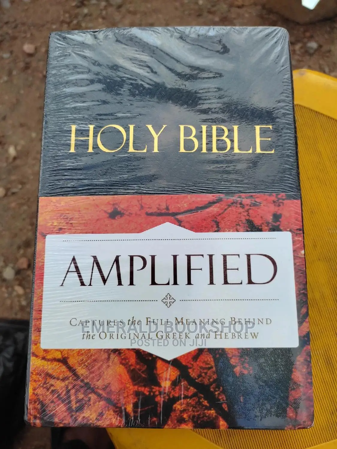 The Amplified Bible