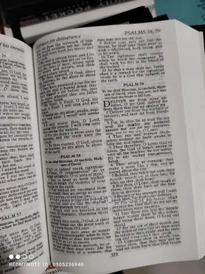 Pocket Bible KJV