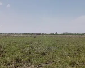 Dependable Estate Lands for Sale