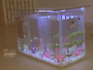Center Table Aquarium With Fish.