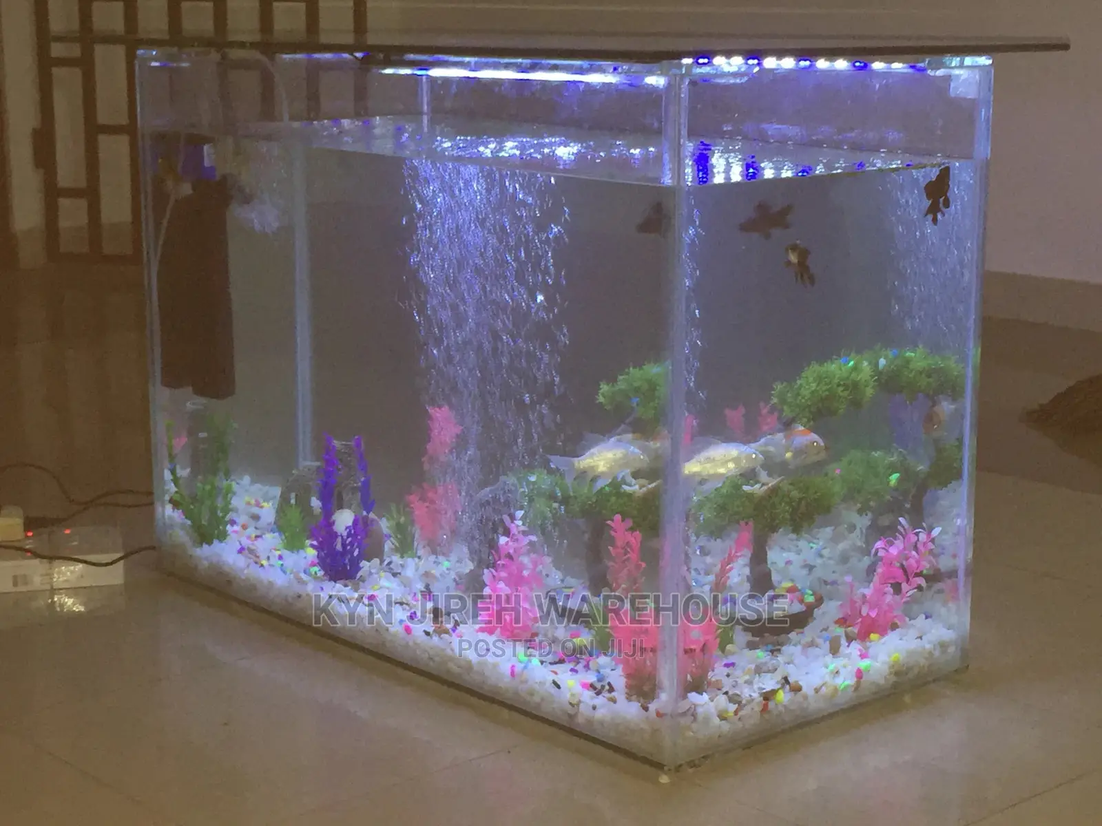 Center Table Aquarium With Fish.