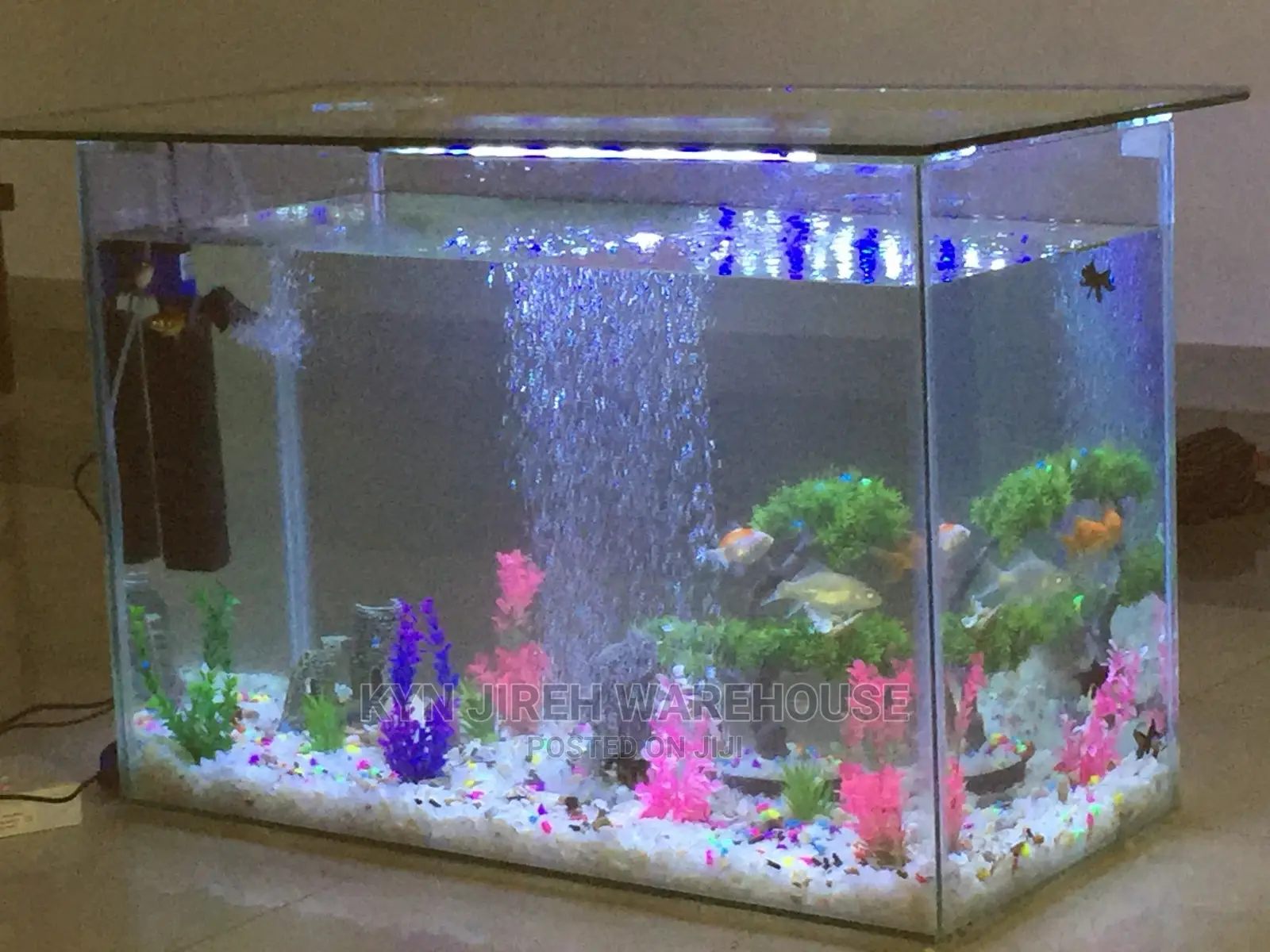 Center Table Aquarium With Fish.