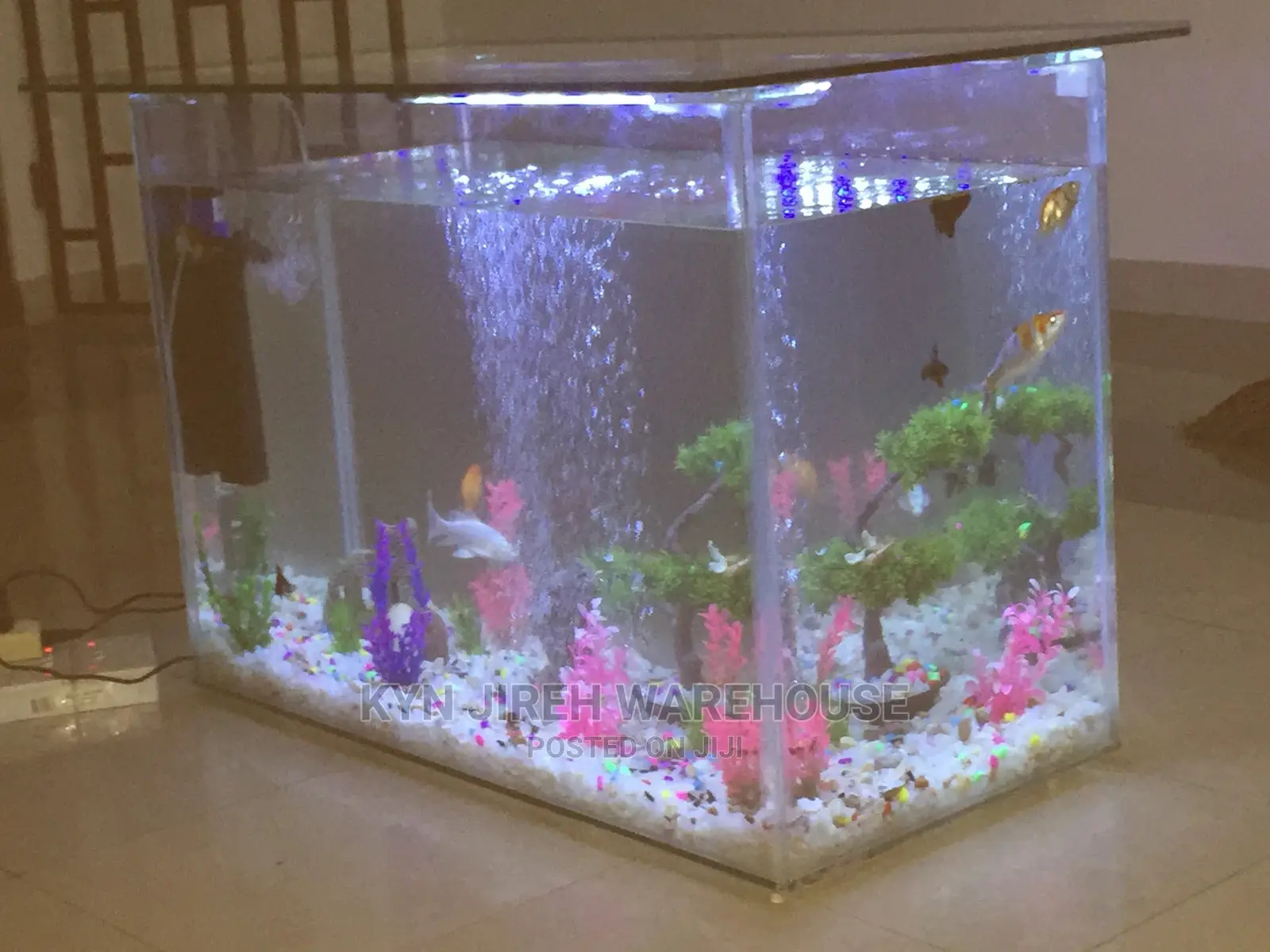 Center Table Aquarium With Fish.