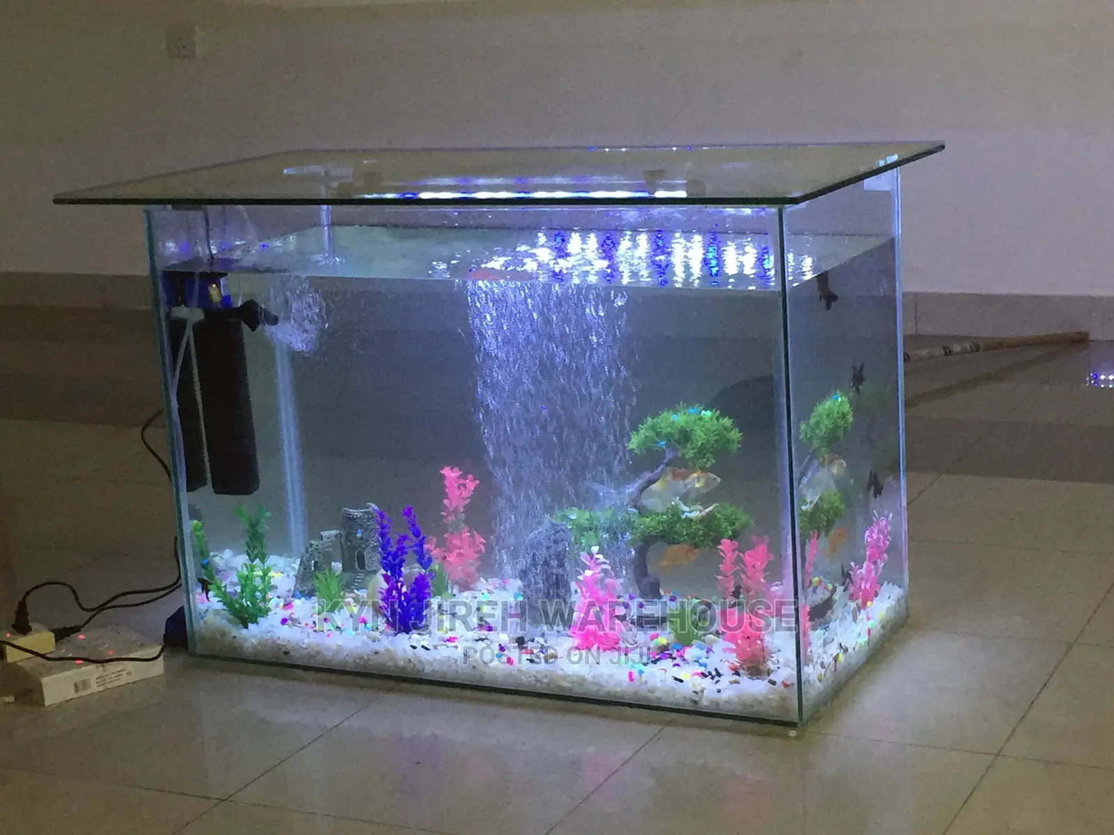 Center Table Aquarium With Fish.