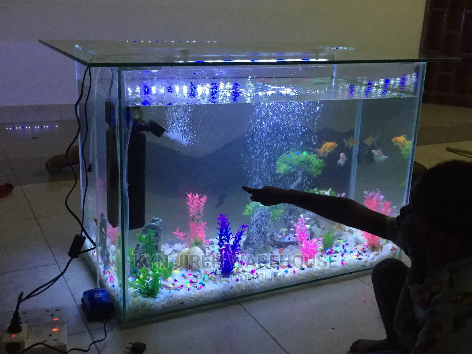 Center Table Aquarium With Fish.