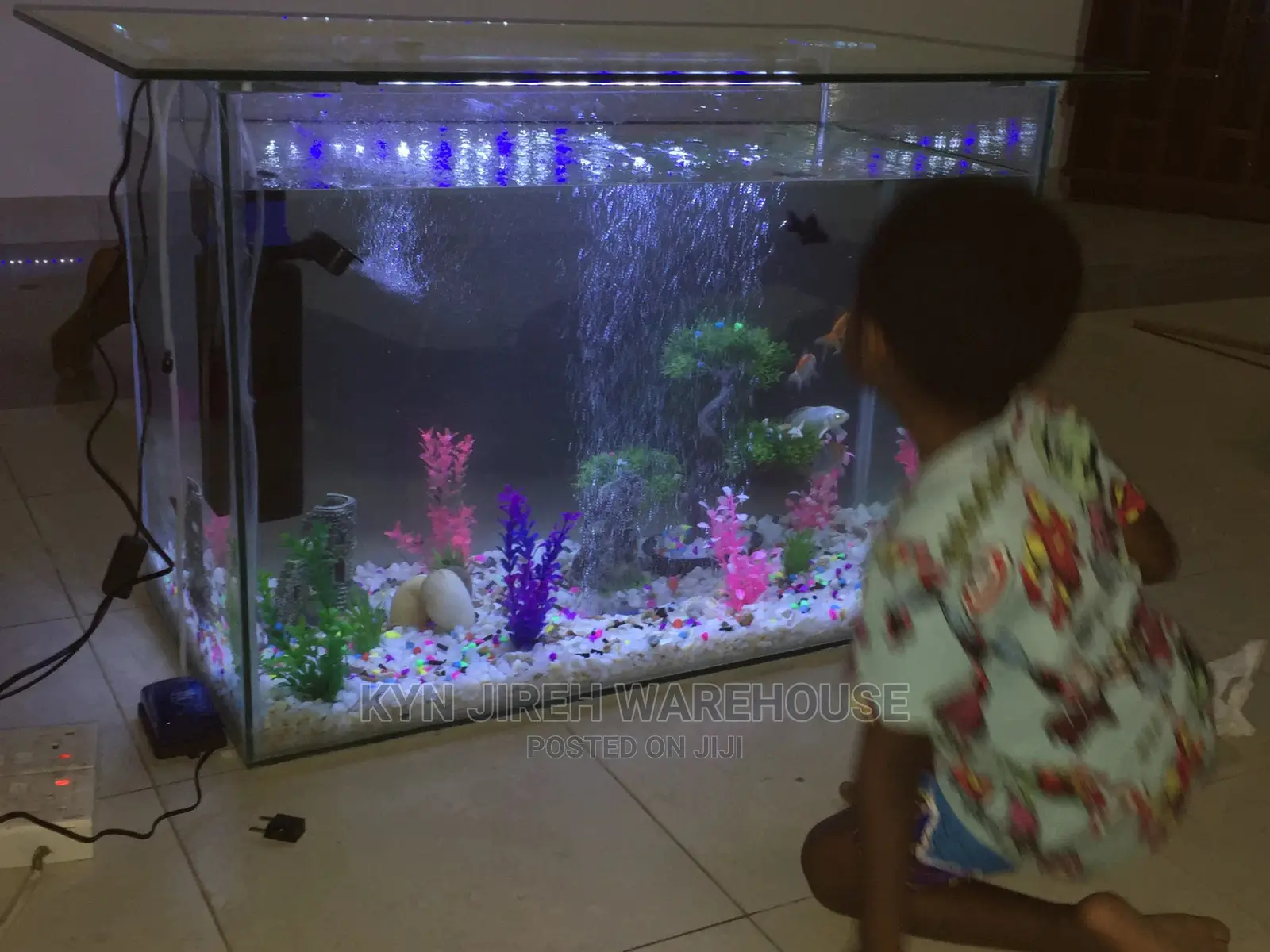 Center Table Aquarium With Fish.